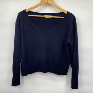 Everlane 100% Cashmere V-Neck Navy Blue Sweater